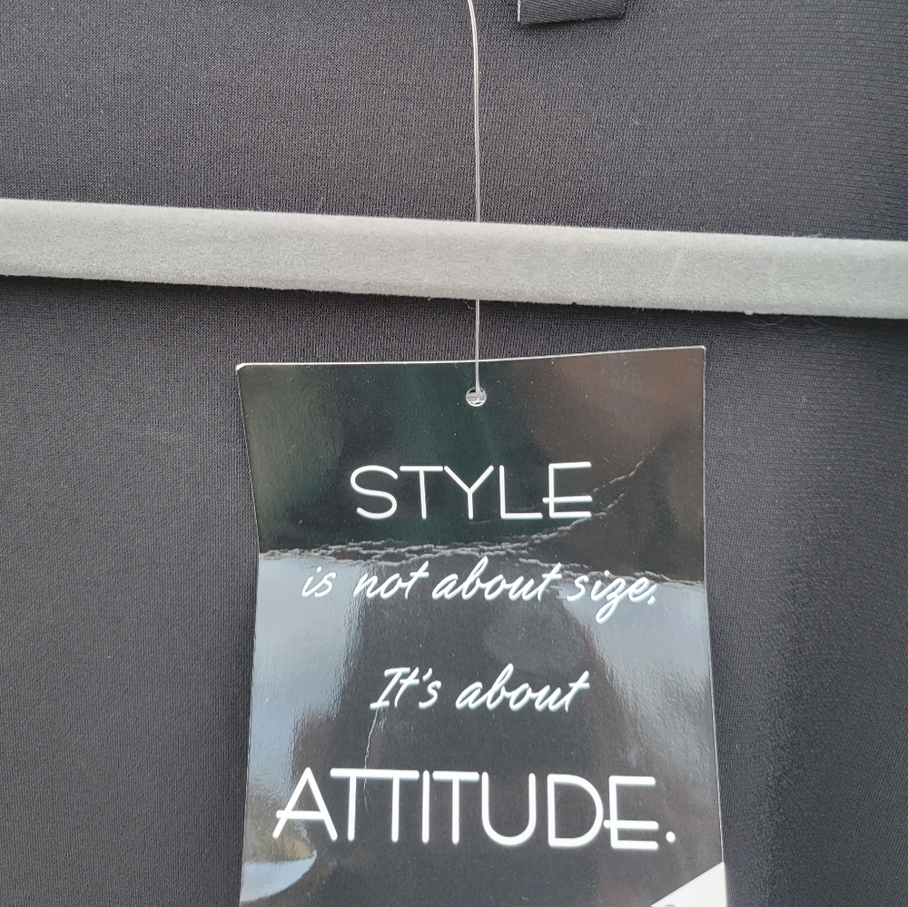 Attitudes By Rene - Picture 2 of 5